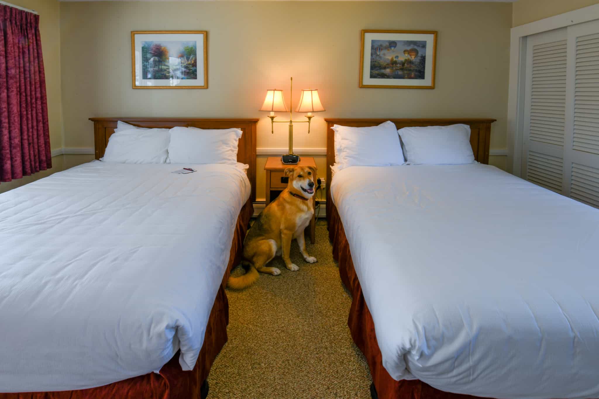 Village Place dog-friendly policy